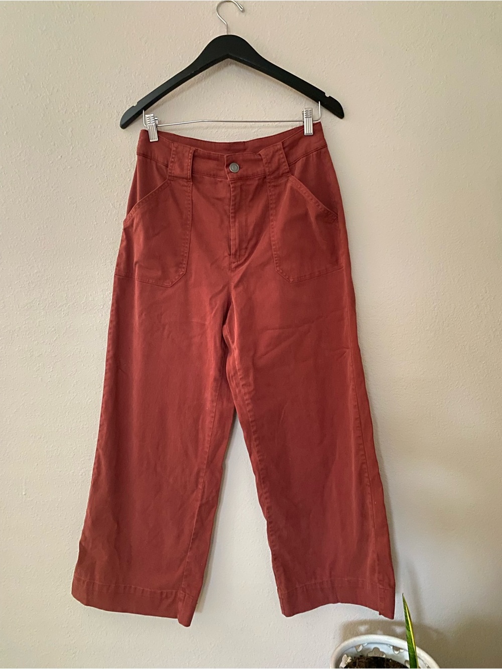 Joie Violette Crop Utility Pants